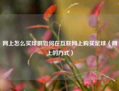 网上怎么买球啊如何在互联网上购买足球（网上的方式）