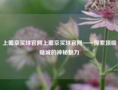 上葡京买球官网上葡京买球官网——探索顶级赌城的神秘魅力