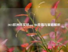 2021欧洲杯买球app M6竞猜与策略解析