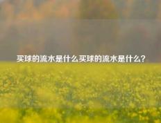 买球的流水是什么买球的流水是什么？