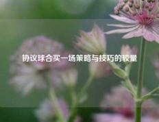 协议球合买一场策略与技巧的较量