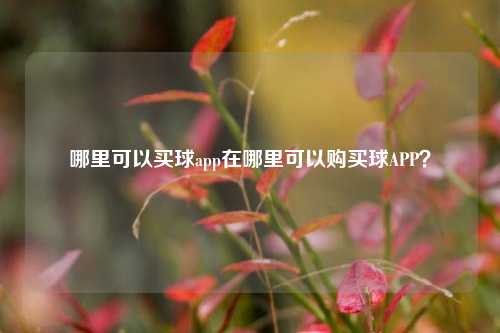 哪里可以买球app在哪里可以购买球APP？