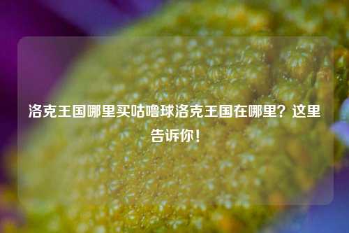 洛克王国哪里买咕噜球洛克王国在哪里？这里告诉你！