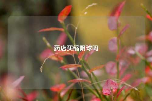 药店买缩阴球吗