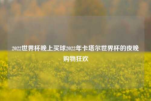 2022世界杯晚上买球2022年卡塔尔世界杯的夜晚购物狂欢