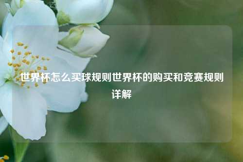 世界杯怎么买球规则世界杯的购买和竞赛规则详解