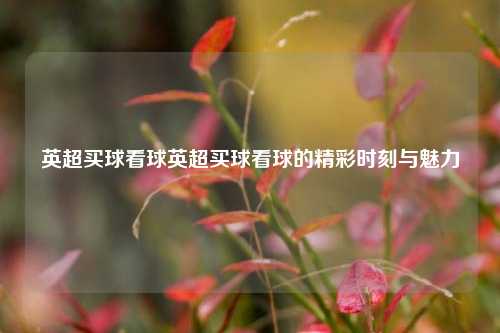 英超买球看球英超买球看球的精彩时刻与魅力