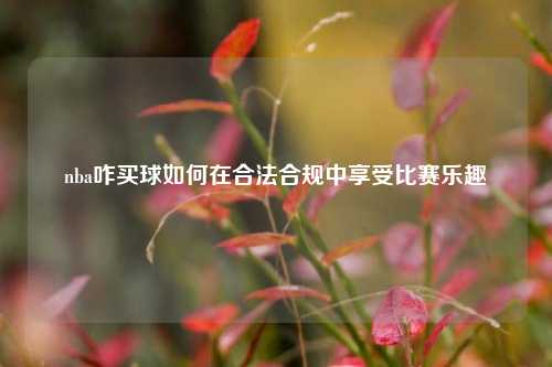 nba咋买球如何在合法合规中享受比赛乐趣