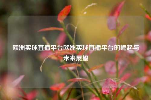 欧洲买球直播平台欧洲买球直播平台的崛起与未来展望