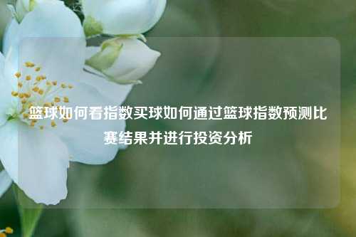 篮球如何看指数买球如何通过篮球指数预测比赛结果并进行投资分析