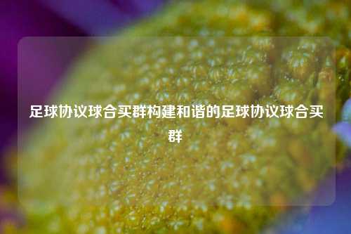 足球协议球合买群构建和谐的足球协议球合买群