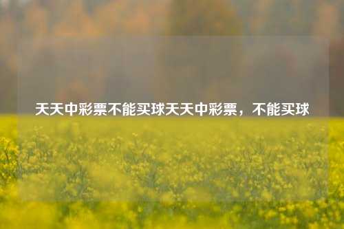 天天中彩票不能买球天天中彩票，不能买球
