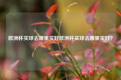 欧洲杯买球去哪里买好欧洲杯买球去哪里买好？