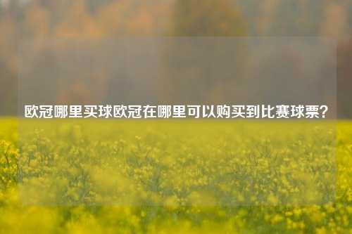 欧冠哪里买球欧冠在哪里可以购买到比赛球票？