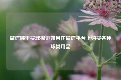 微信哪里买球探索如何在微信平台上购买各种球类用品