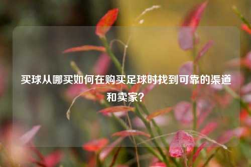 买球从哪买如何在购买足球时找到可靠的渠道和卖家？