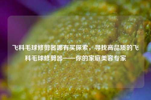 飞科毛球修剪器哪有买探索，寻找高品质的飞科毛球修剪器——你的家庭美容专家