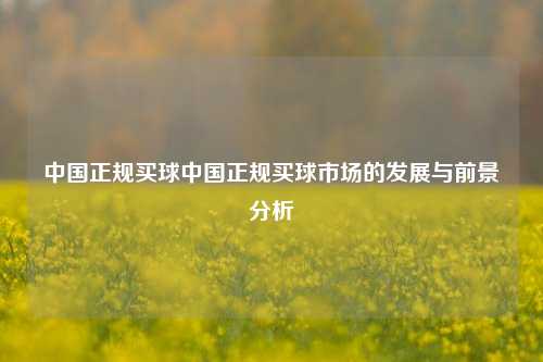 中国正规买球中国正规买球市场的发展与前景分析
