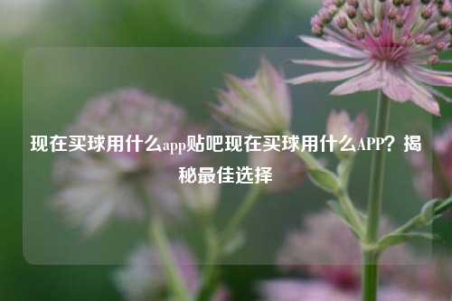 现在买球用什么app贴吧现在买球用什么APP？揭秘最佳选择