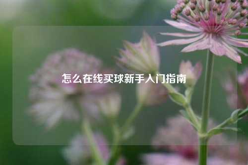 怎么在线买球新手入门指南