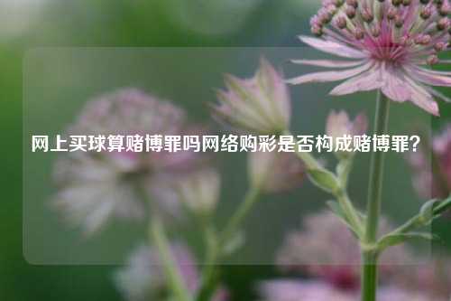 网上买球算赌博罪吗网络购彩是否构成赌博罪？