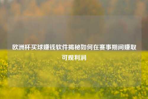 欧洲杯买球赚钱软件揭秘如何在赛事期间赚取可观利润
