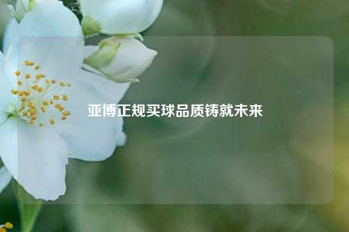 亚博正规买球品质铸就未来