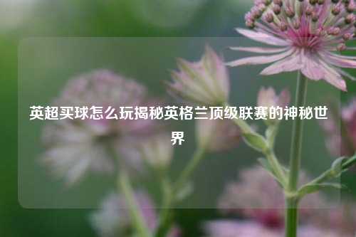 英超买球怎么玩揭秘英格兰顶级联赛的神秘世界