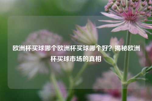 欧洲杯买球哪个欧洲杯买球哪个好？揭秘欧洲杯买球市场的真相
