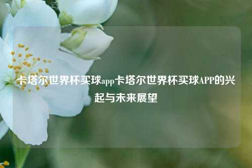 卡塔尔世界杯买球app卡塔尔世界杯买球APP的兴起与未来展望
