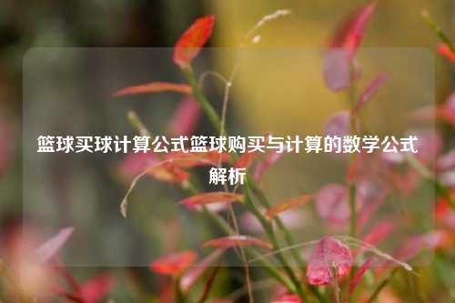 篮球买球计算公式篮球购买与计算的数学公式解析