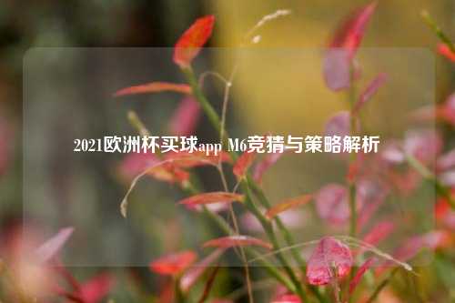 2021欧洲杯买球app M6竞猜与策略解析