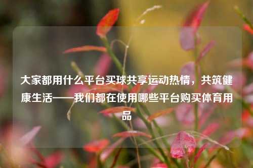 大家都用什么平台买球共享运动热情，共筑健康生活——我们都在使用哪些平台购买体育用品