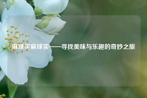 麻球买麻球买——寻找美味与乐趣的奇妙之旅