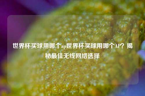 世界杯买球用哪个ap世界杯买球用哪个AP？揭秘最佳无线网络选择
