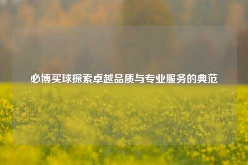 必博买球探索卓越品质与专业服务的典范