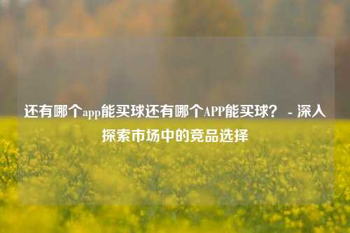 还有哪个app能买球还有哪个APP能买球？ - 深入探索市场中的竞品选择