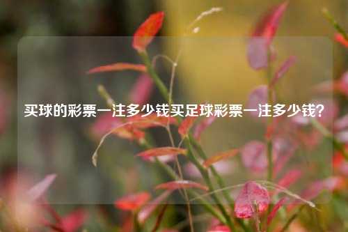 买球的彩票一注多少钱买足球彩票一注多少钱？