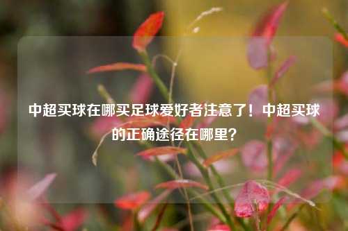 中超买球在哪买足球爱好者注意了！中超买球的正确途径在哪里？
