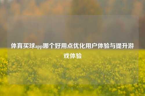 体育买球app哪个好用点优化用户体验与提升游戏体验