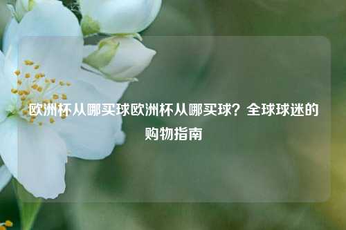 欧洲杯从哪买球欧洲杯从哪买球？全球球迷的购物指南